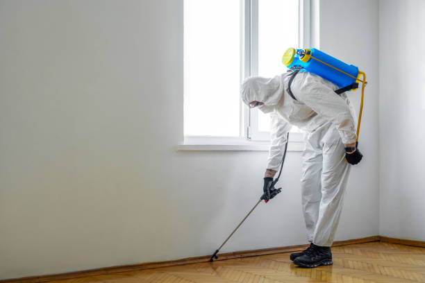 Best Pest Prevention Services  in Crystal Lake, CT